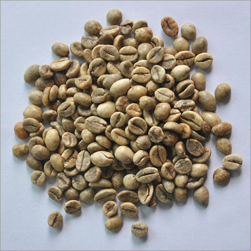 Robusta S16 Wet Polished Coffee Beans