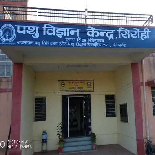 Madhya Pradesh Pashu Chikitsa Vigyan Vishwavidyalaya Tenders Information