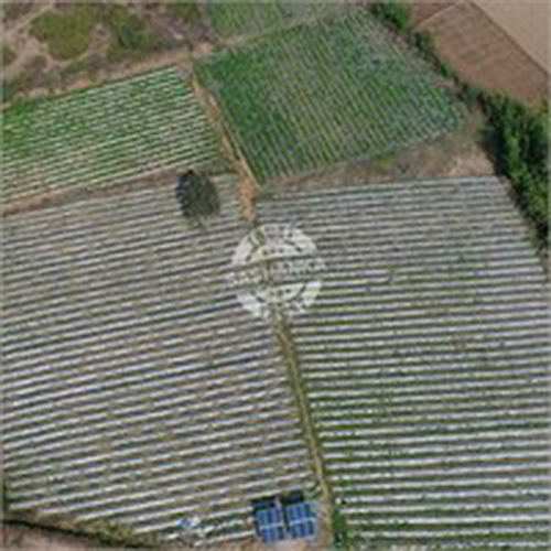 Solar Drip And Sprinkler Irrigation