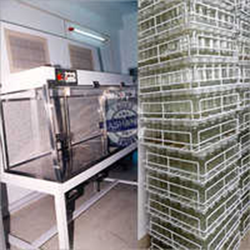 Lab Growth Room