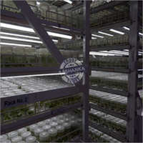 Tissue Culture Racks