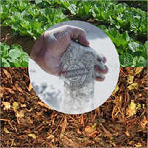 Compost Culture