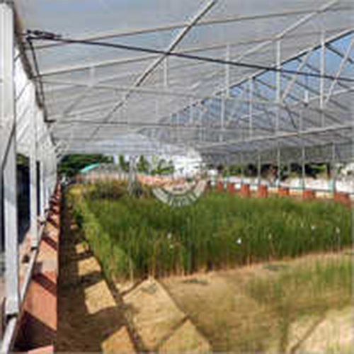 Rainout Shelter