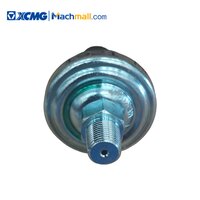 XCMG Authenticity Guaranteed Mobile Crane Spare Parts Air Pressure Switch