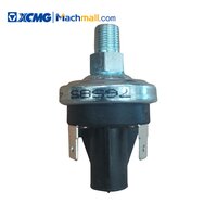 XCMG Authenticity Guaranteed Mobile Crane Spare Parts Air Pressure Switch