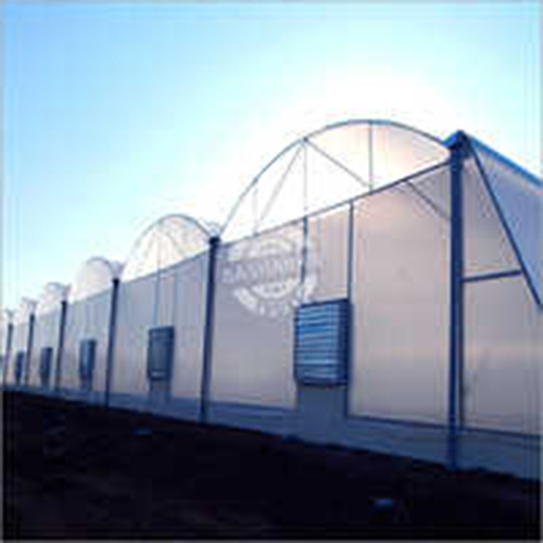 Fan And Pad Greenhouse