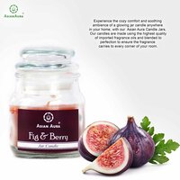 Asian Aura Fig and berry Highly Fragrance Jar Candle (Pack of 1)