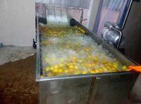 Potato Chips Processing Plant - Stainless Steel, Efficient Design For Large Volume Production, Integrated Pulp And Juice Processing Capabilities