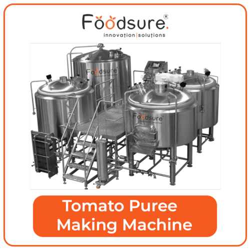 Tomato Puree and Ketchup Making Plant