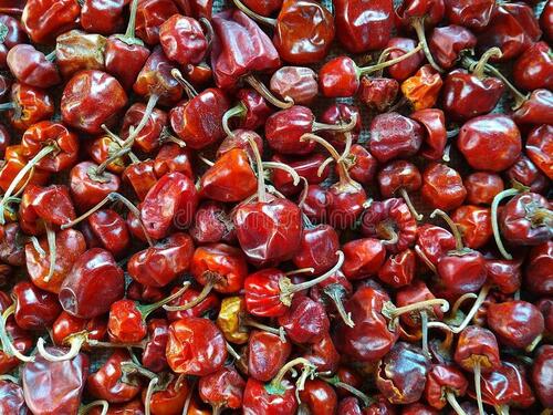 Dried Red Chilli Grade: Food Grade