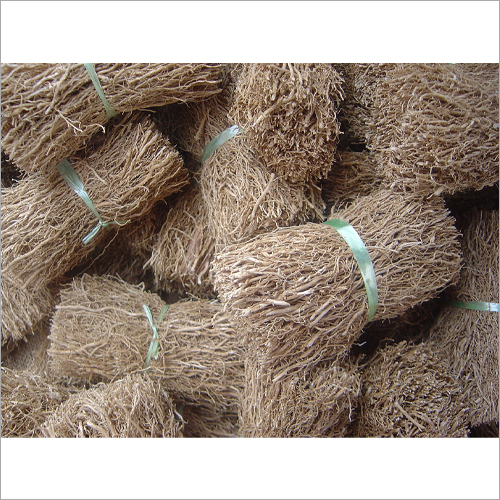 Vetiver Roots Dry Place