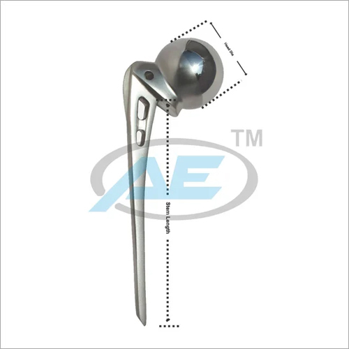 Silver Slotted Stem Narrow Prosthesis