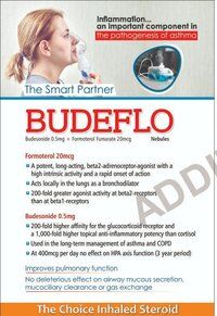 Budesonide Formoterol  Nebulizer Solution