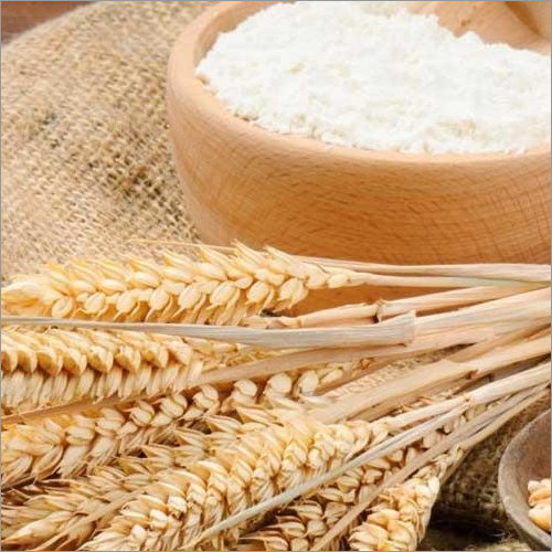 Wheat Starch Packaging: Bag at Best Price in Vapi | Onaek Agro Private ...