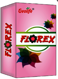 Florex - Flowering Plant Stimulant