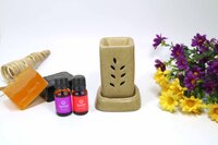 Asian Aura Ceramic Aromatic Oil Diffuser with 2 oil bottles AAEB 007-B