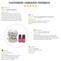 Asian Aura Ceramic Aromatic Oil Diffuser with 2 oil bottles AAEB 008-W