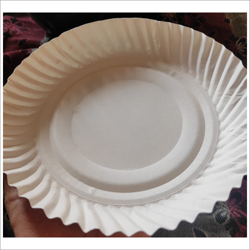 Plain Paper Plate - Composed of Biodegradable Paper with Polythene Layer | Cold and Heat Resistant, Disposable Use and Throw Design, Eco-Friendly White Color