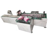 Automatic Cartoning Machine (HBP)