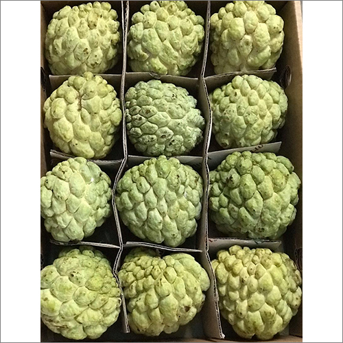 Custard Apple - Soft & Juicy Whole Fruit | Sweet Taste Rich in Proteins Vitamins Minerals and Dietary Fiber Ideal for Salads