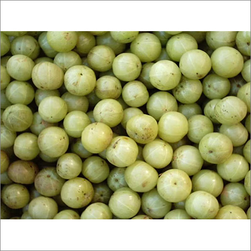 Fresh Amla Moisture (%): Nil at Best Price in Mumbai | Hdrt Impex Llp