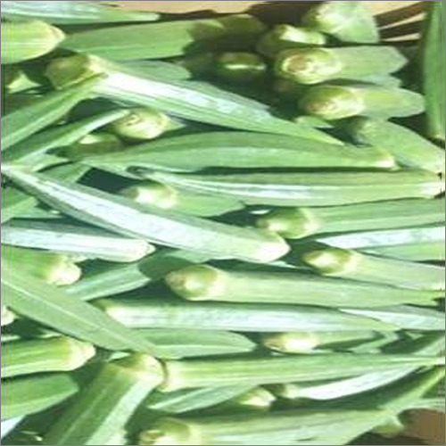 Fresh Lady Finger - Whole Raw, Elongated Green Okra | Cultivated Without Chemical Fertilizers, Packed for Long-Lasting Freshness