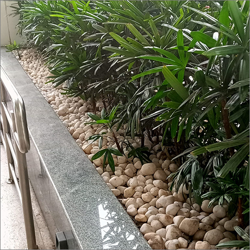 Garden Pebble Stone Solid Surface