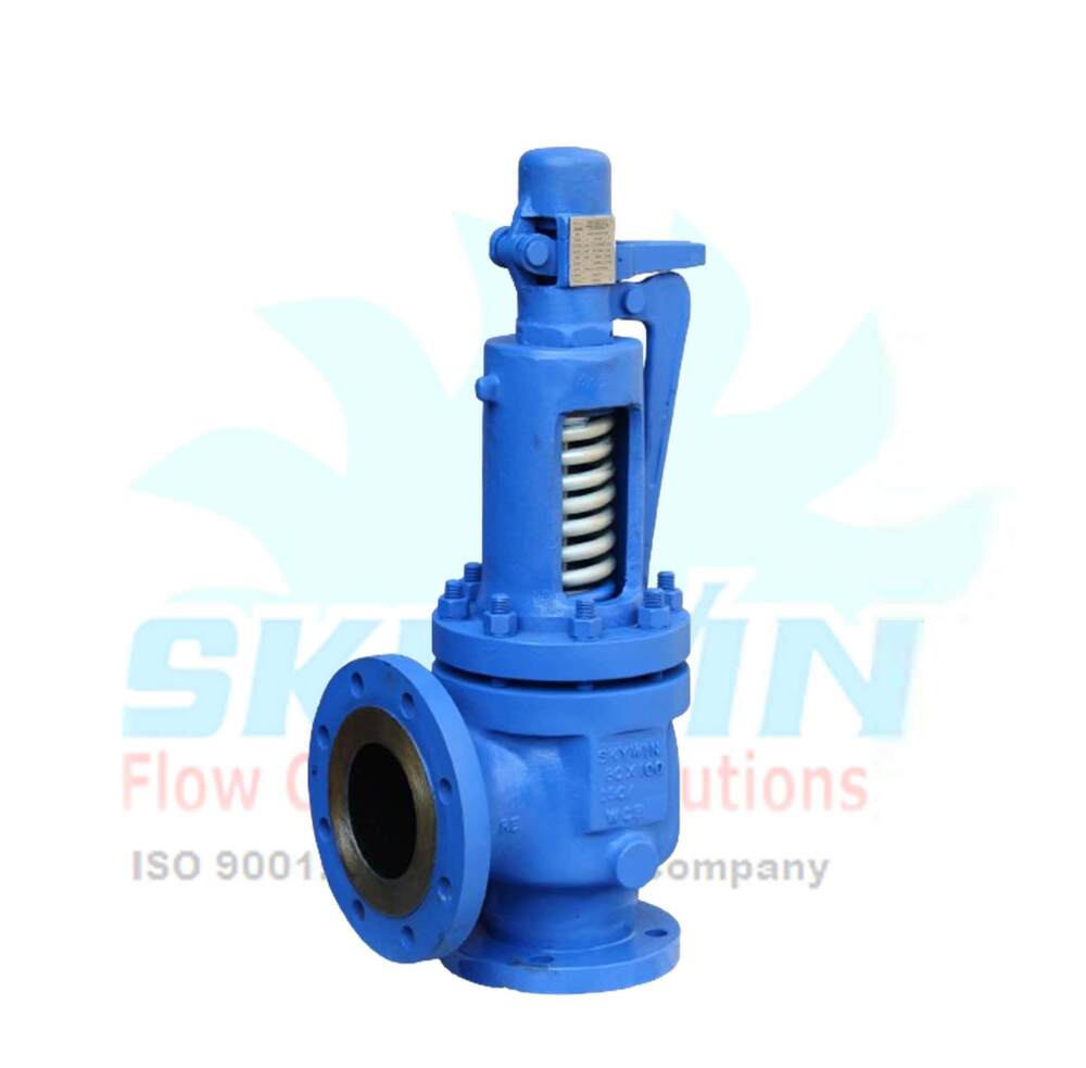 Carbon Steel Water Pressure Relief Valve - Color: Blue