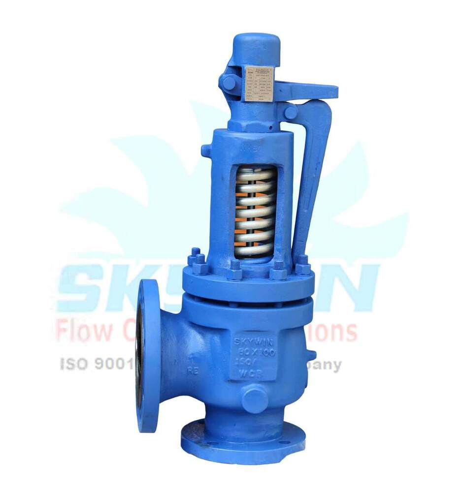 Gas Pressure Safety Valve Application: Water