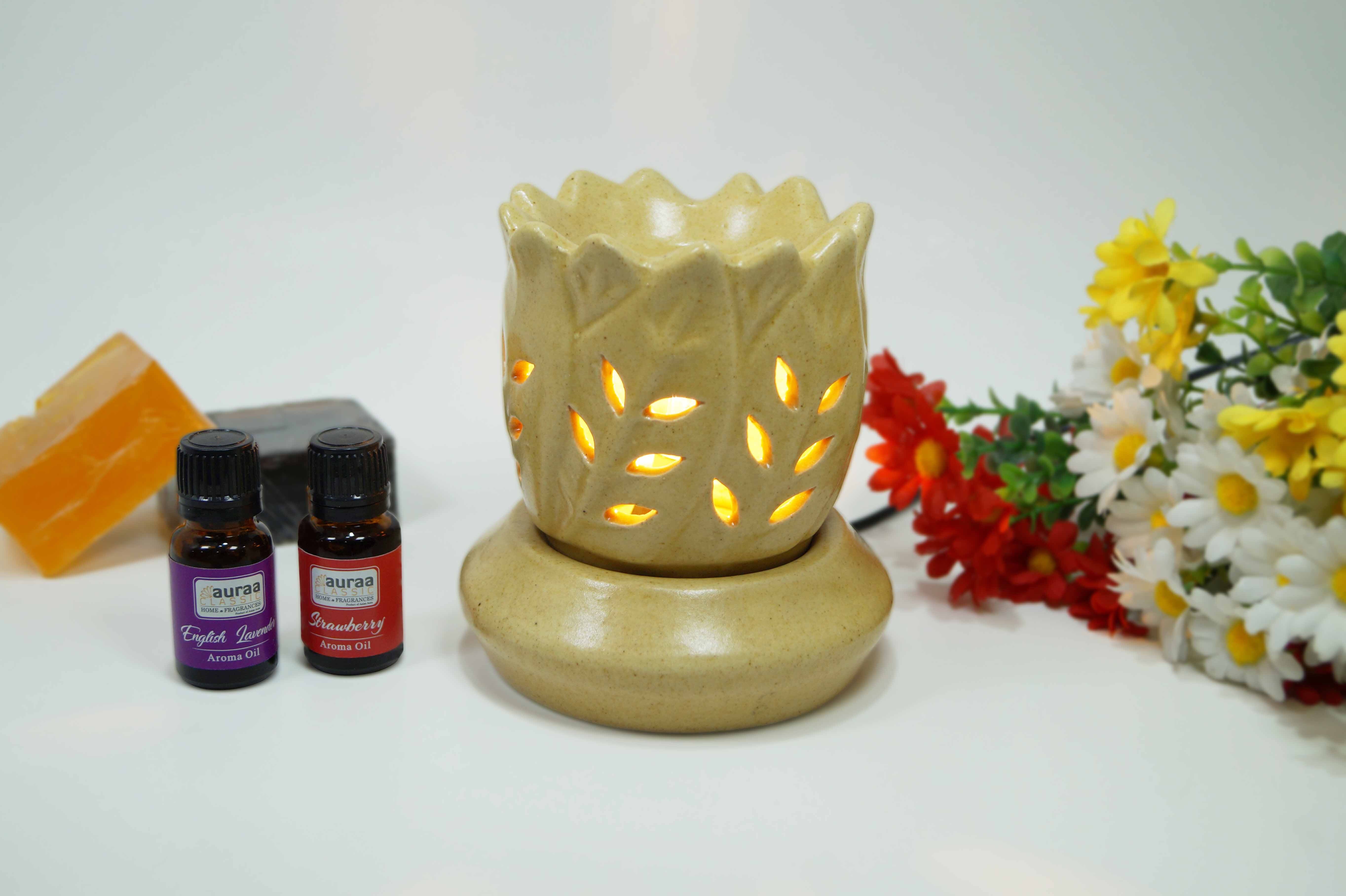 Asian Aura Ceramic Aromatic Oil Diffuser with 2 oil bottles AAEB 0021-B