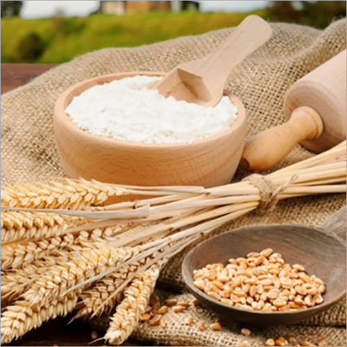 Wheat Maida - Wheat Flour, 5kg Plastic Bags | White Color, Grade A, Ideal for Cooking and Baking Applications