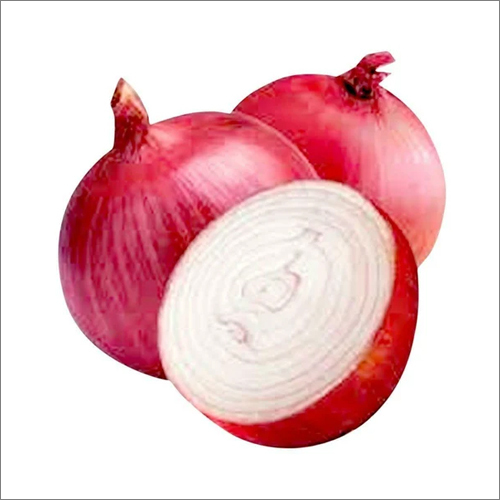 A Grade Red Onion - Raw Nil Moisture | Ideal for Salads Salsas Burgers and Cooked Dishes with Spicy-to-Mild Flavor and Vibrant Color