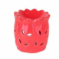 Asian Aura Ceramic Aromatic Oil Diffuser with 2 oil bottles AA-CB-0040Red