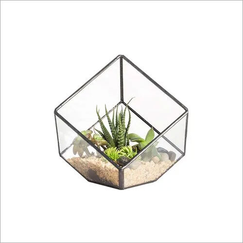 Decorative Cube Terrarium