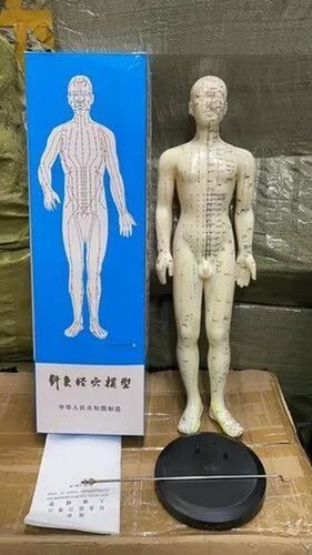 Acupuncture Model-full Body-male 48 Cm