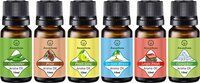 Asian Aura feel fresh kit 10ml Aroma oil Set of 6