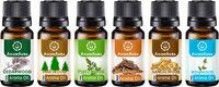 Asian Aura woody combo 10ml Aroma oil Set of 6