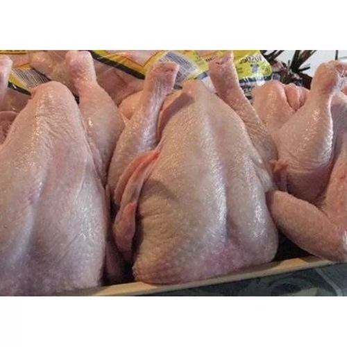 New stock Halal Frozen Chicken Feet Paws Breast Frozen Whole Chicken Frozen Chicken Leg