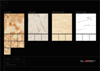 POLISHED GLAZED VITRIFIED TILES (PGVT)