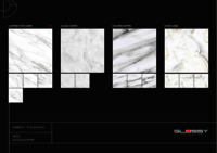 GLOSSY VITRIFIED TILE