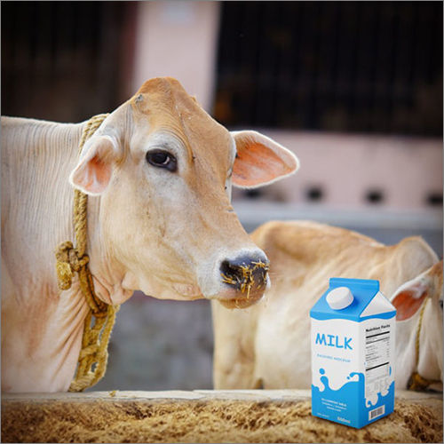 1 Liter Cow Milk