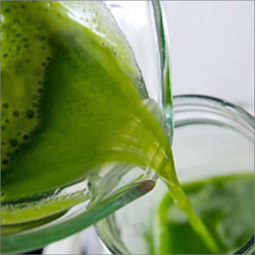 Nilavembu Juice