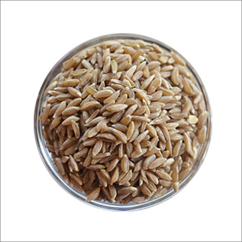 Brown Organic Samba Wheat