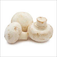 Organic Fresh White Mushroom - Cultivated, Different Size, White, Raw Style, Without Root | High-level Trading, Excellent For Diverse Culinary Uses