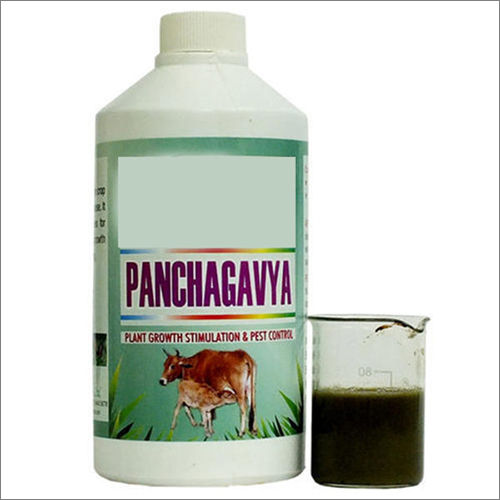 Panchagavya Liquid