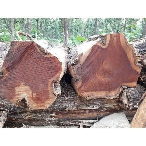 High Quality Pure Teak Wood Timber Logs