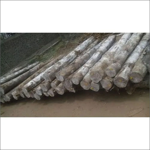 Sudaan 30 Feet Timber Logs Thickness: Different Available Millimeter (Mm)