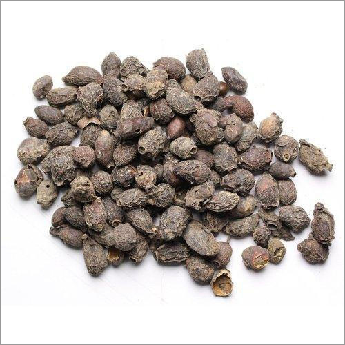 Jamun Seeds Age Group: Suitable For All