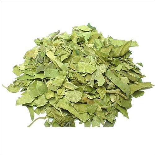 Gudmar Herbs Age Group: Suitable For All