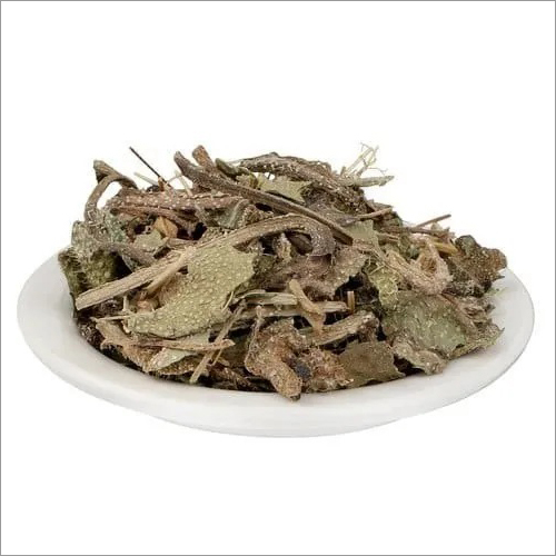 Gavjaban Stick Age Group: Suitable For All